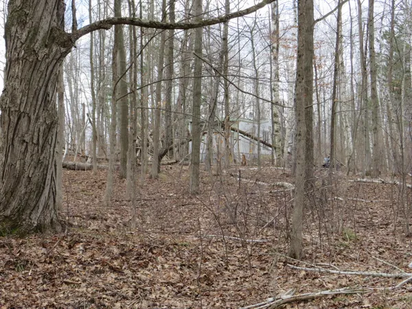 $136,000 | M-115, Marion, MI 49665