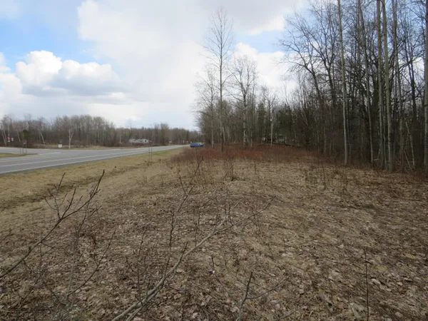 $136,000 | M-115, Marion, MI 49665