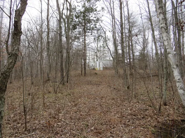 $136,000 | M-115, Marion, MI 49665