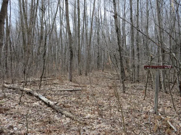 $136,000 | M-115, Marion, MI 49665