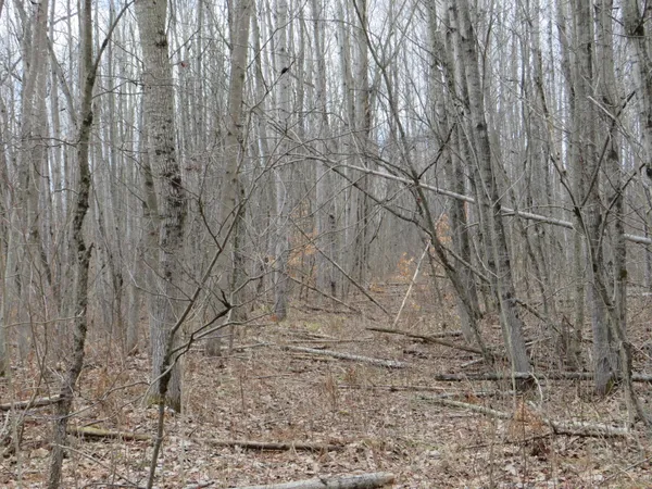 $136,000 | M-115, Marion, MI 49665