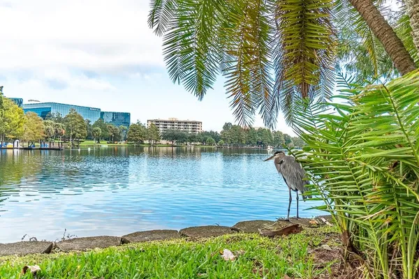 a view of livingroom with furniture