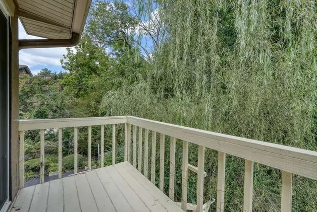 a view of a yard with plants and tree