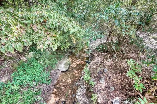 an aerial view of a house with a yard and trees all around