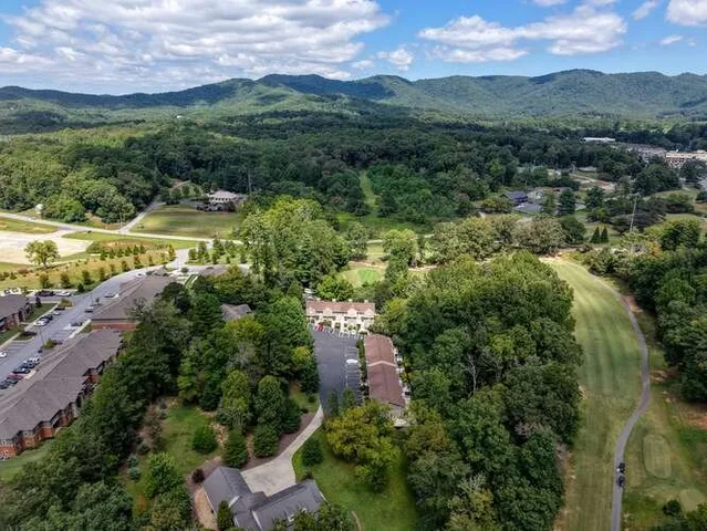 an aerial view of residential houses with outdoor space and trees