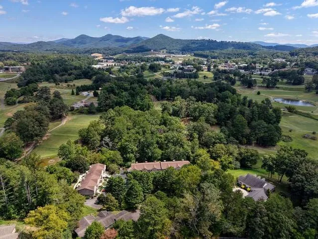 an aerial view of residential houses with outdoor space and trees