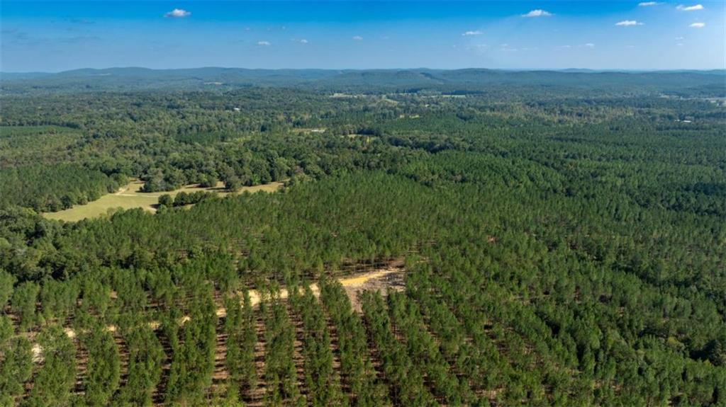1239 Livingston Road Southwest Rome, GA 30161 - Photo 2 of 11