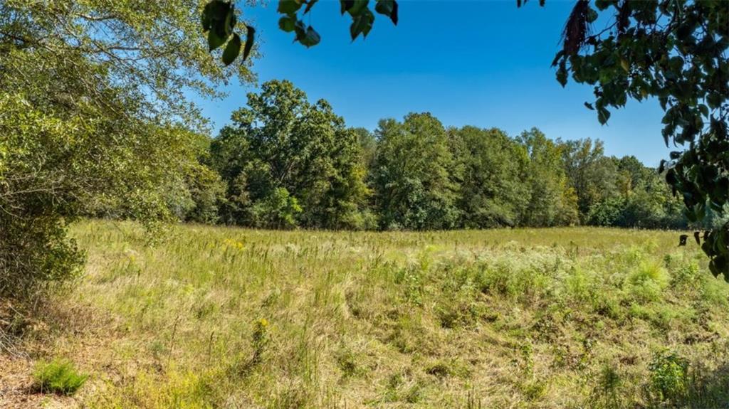 1239 Livingston Road Southwest Rome, GA 30161 - Photo 6 of 11