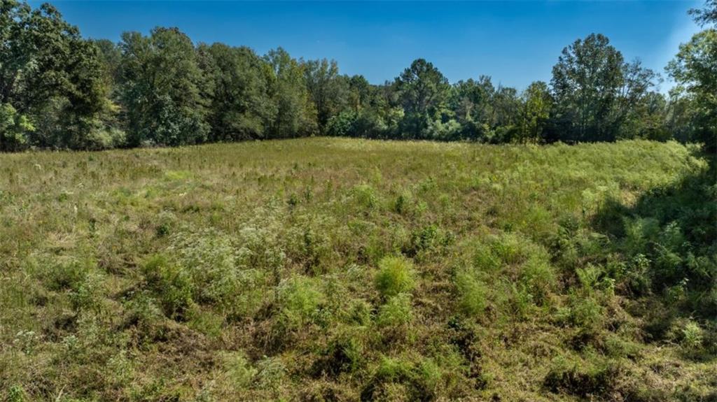 1239 Livingston Road Southwest Rome, GA 30161 - Photo 7 of 11