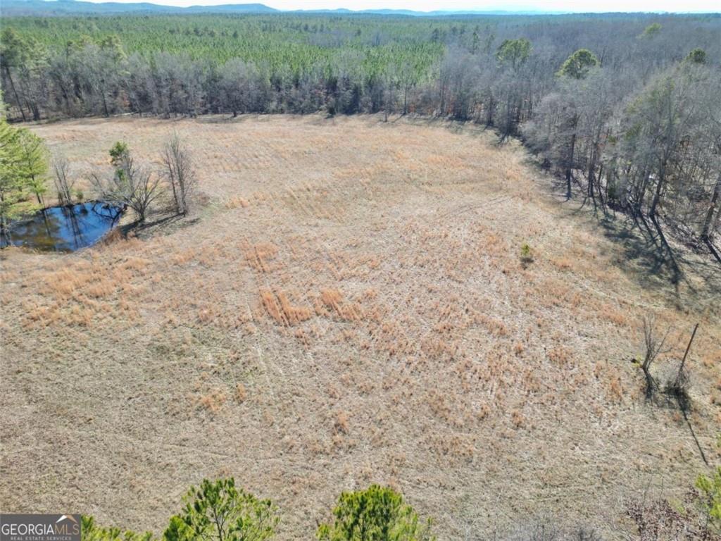 1239 Livingston Road Southwest Rome, GA 30161 - Photo 9 of 11