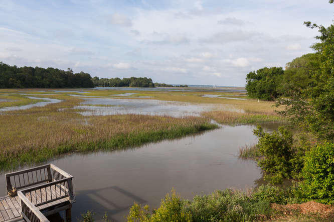 362 Sweetgrass Creek Road Charleston, SC 29412 - Photo 36 of 40 362 Sweetgrass Creek Blvd-small-038-MG 7