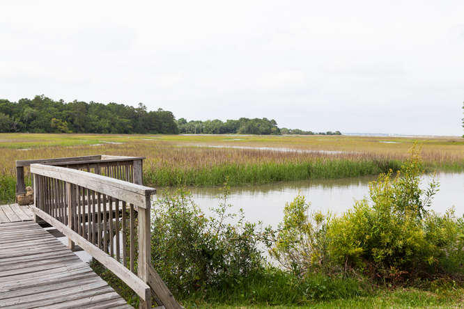 362 Sweetgrass Creek Road Charleston, SC 29412 - Photo 39 of 40 362 Sweetgrass Creek Blvd-small-039-MG 7