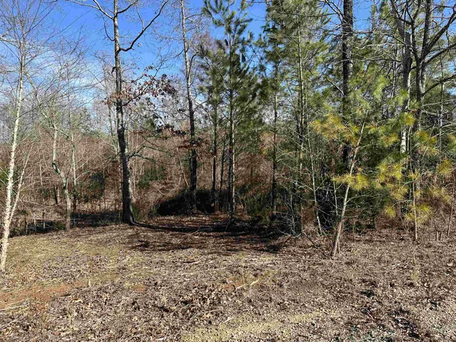 a view of a backyard with large trees