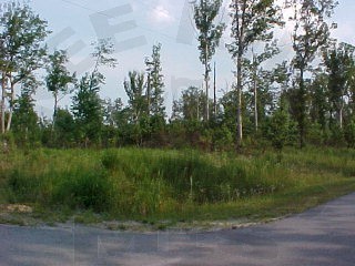 95 Long Point Road Chocowinity, NC 27817 - Photo 1 of 1 Primary Photo