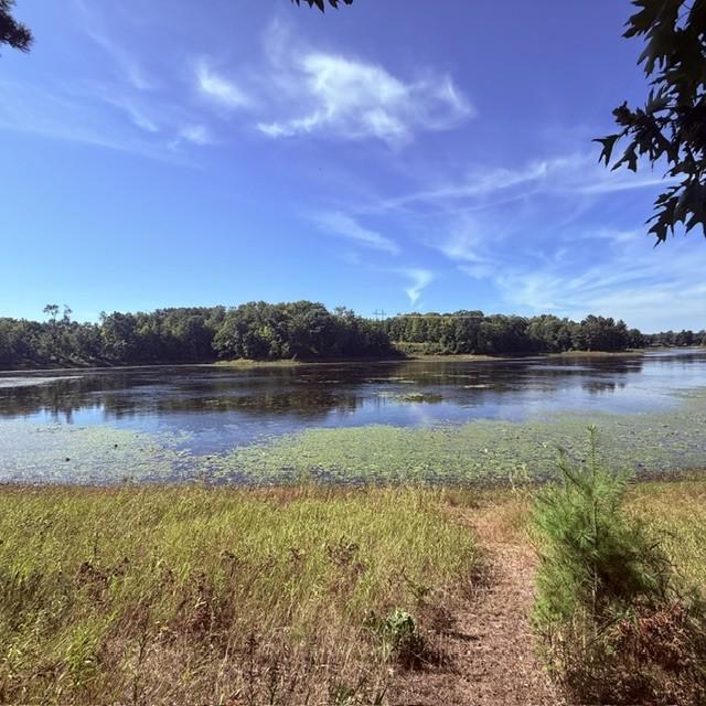 Tbd West Lilja Avenue Shell Lake, WI 54871 - Photo 9 of 23 Gallery Image 9
