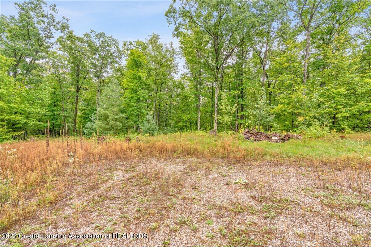 6421 King Road Lewiston, MI 49756 - Photo 19 of 31 29-Media Jett-27