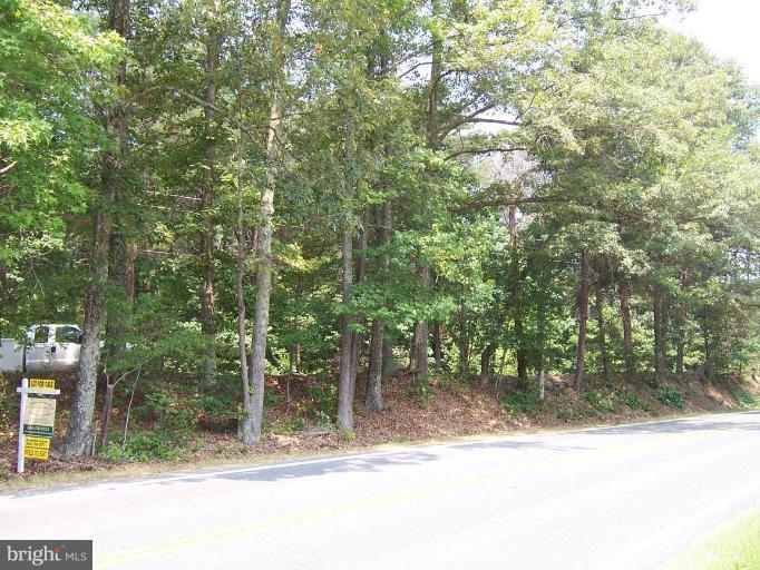 5300 Partlow Road Partlow, VA 22534 - Photo 2 of 4 Partlow Rd, road frontage