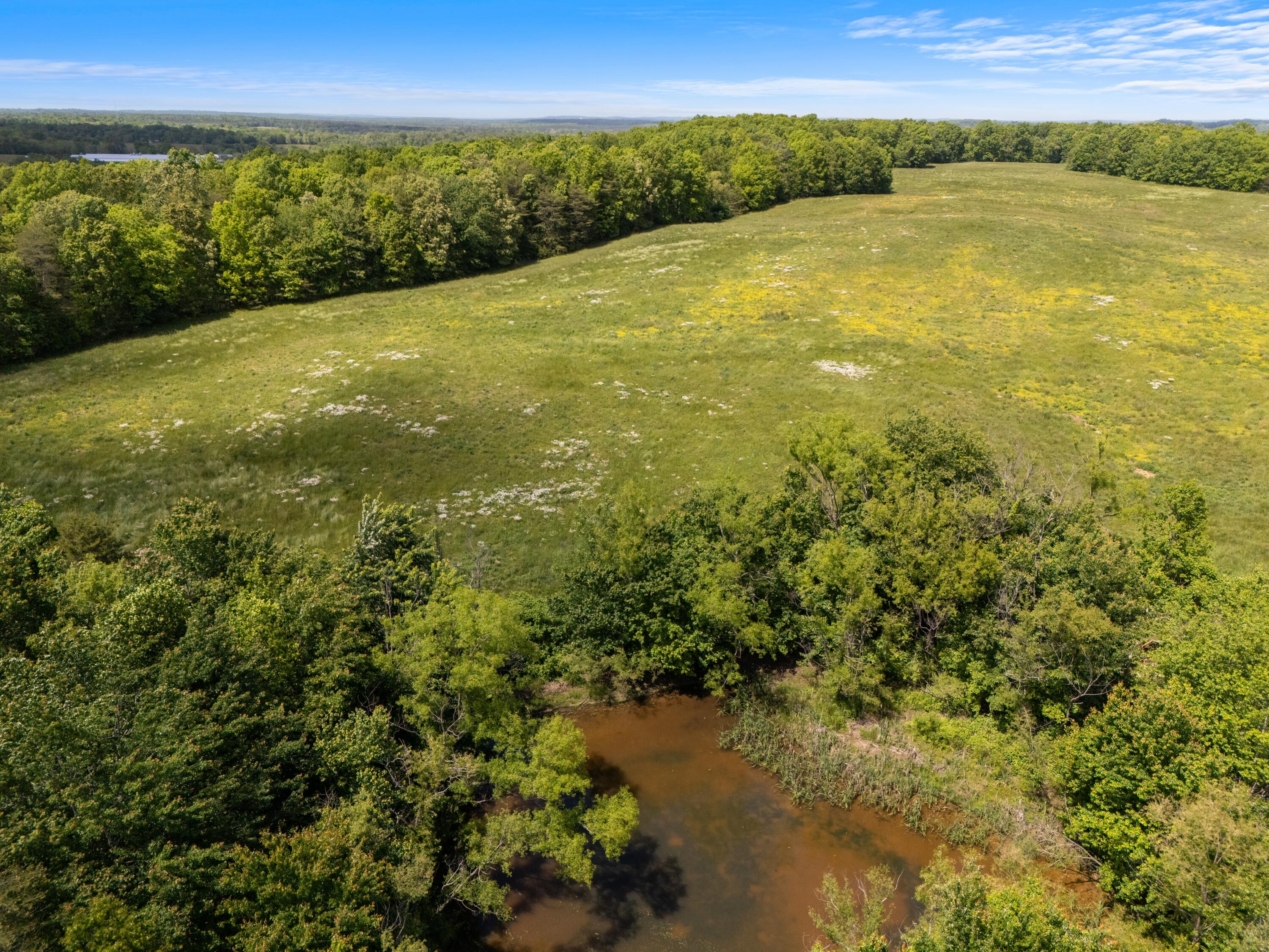 10681 Griffith Road Pikeville, TN 37367 - Photo 7 of 8 DJI_20260507141840_0389_D