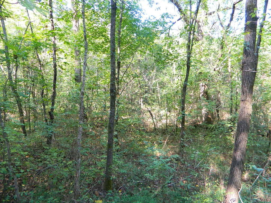 0 Woodwind Way Rising Fawn, GA 30738 - Photo 6 of 24