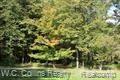 6285 Hough Road Almont, MI 48003 - Photo 30 of 32 31306097-29.JPG