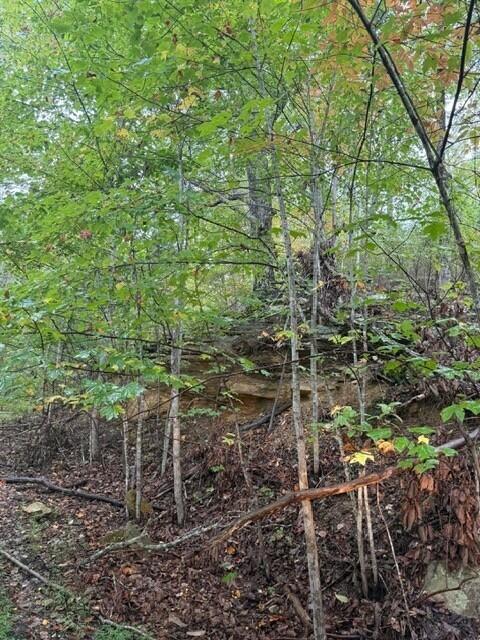 12 Sawmill Road, Unit 12 Palmer, TN 37365 - Photo 11 of 16 11