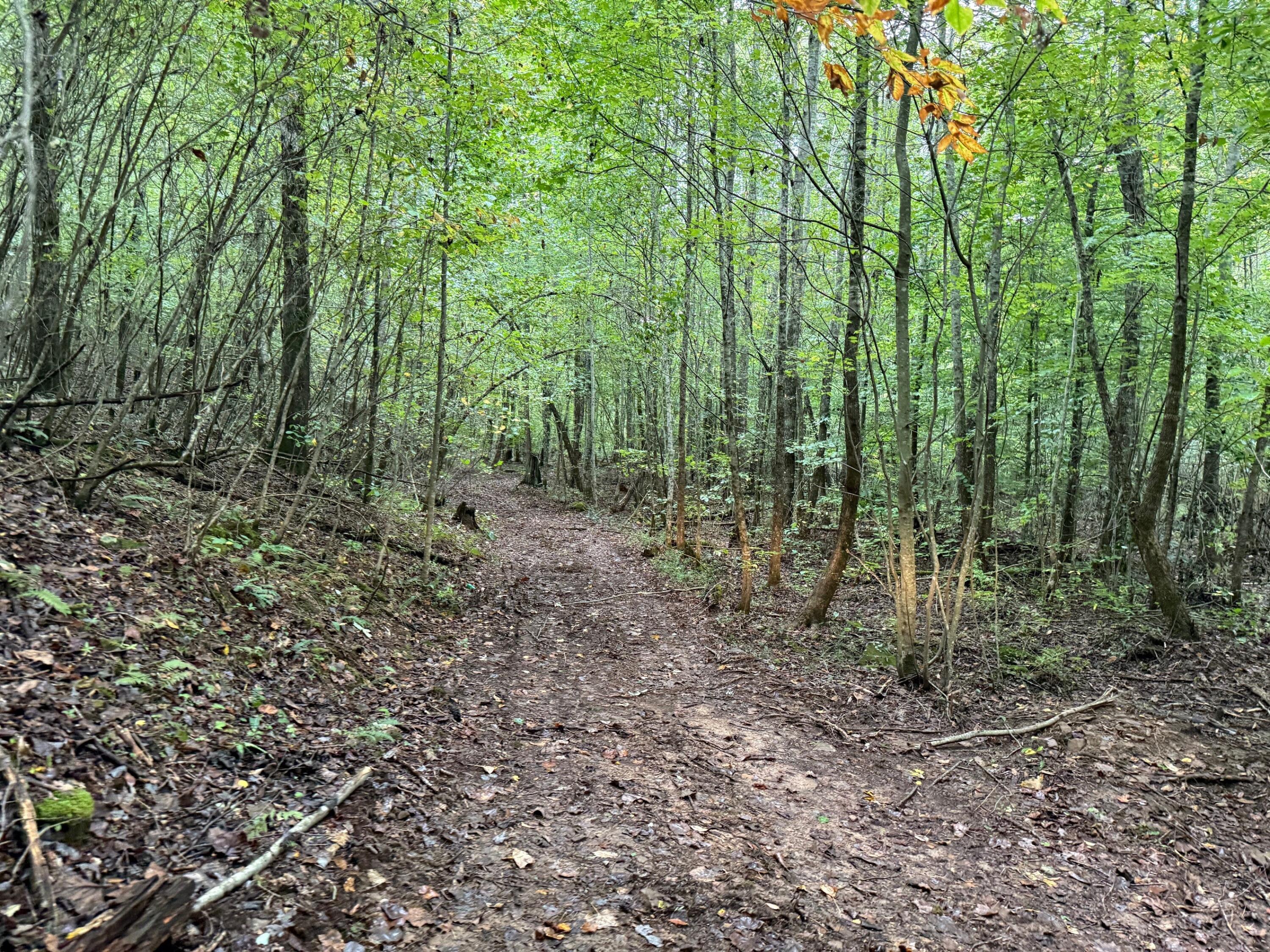 12 Sawmill Road, Unit 12 Palmer, TN 37365 - Photo 13 of 16 13