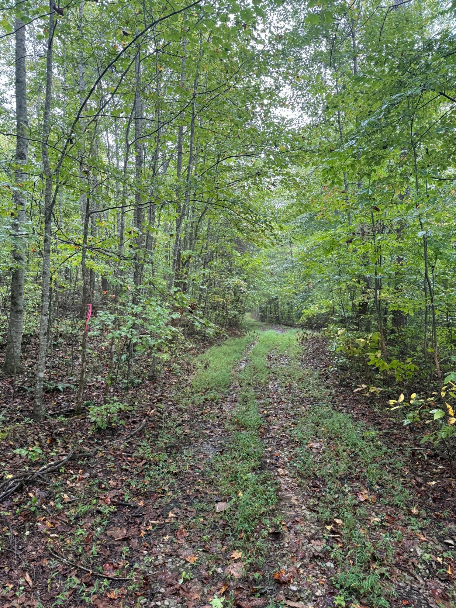 12 Sawmill Road, Unit 12 Palmer, TN 37365 - Photo 4 of 16 4