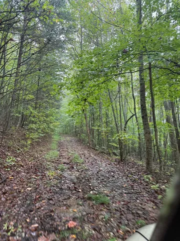 $129,000 | 12 Sawmill Road, Unit 12, Palmer, TN 37365