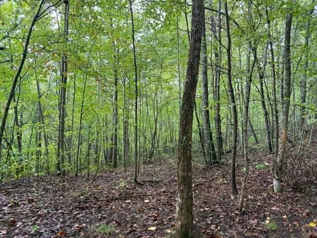 $129,000 | 12 Sawmill Road, Unit 12, Palmer, TN 37365