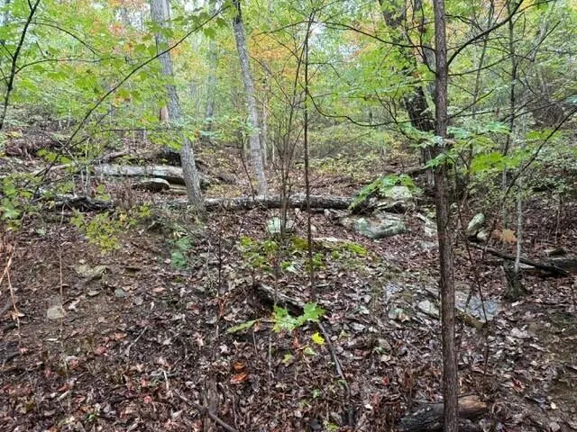 $129,000 | 12 Sawmill Road, Unit 12, Palmer, TN 37365