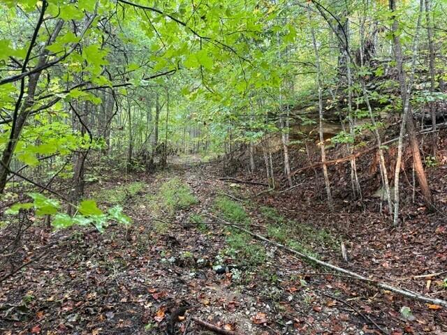 12 Sawmill Road, Unit 12 Palmer, TN 37365 - Photo 10 of 16 10