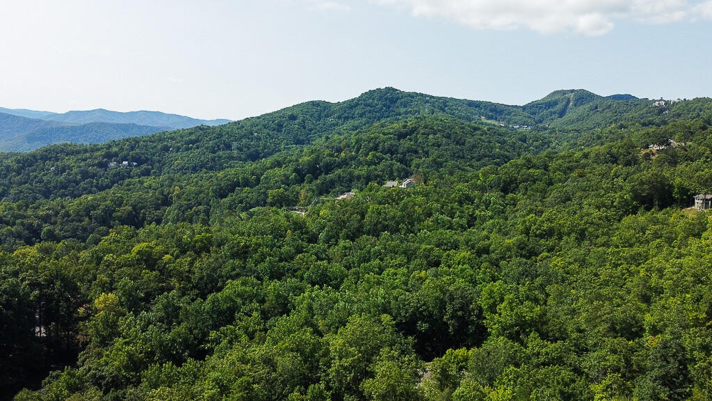 1468 Laurel Road Gatlinburg, TN 37738 - Photo 29 of 40 Gallery Image 29