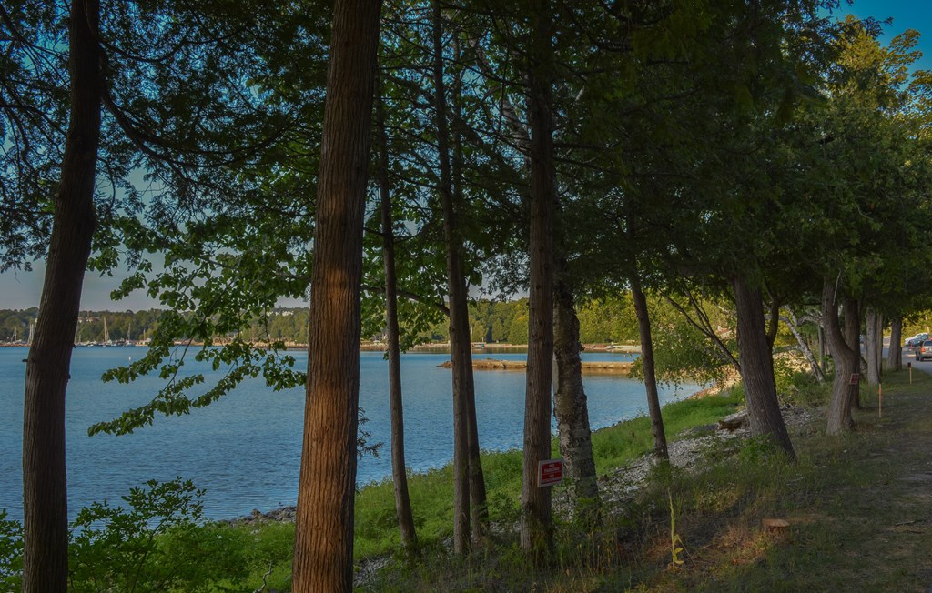 1-2 Alpine Road Egg Harbor, WI 54209 - Photo 6 of 14
