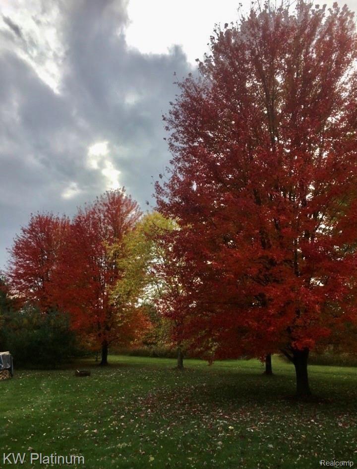7331 Phillips Road North Street, MI 48049 - Photo 23 of 30 IMG_5982.jpeg