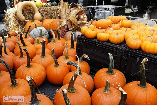 a view of an chairs and table in a backyard