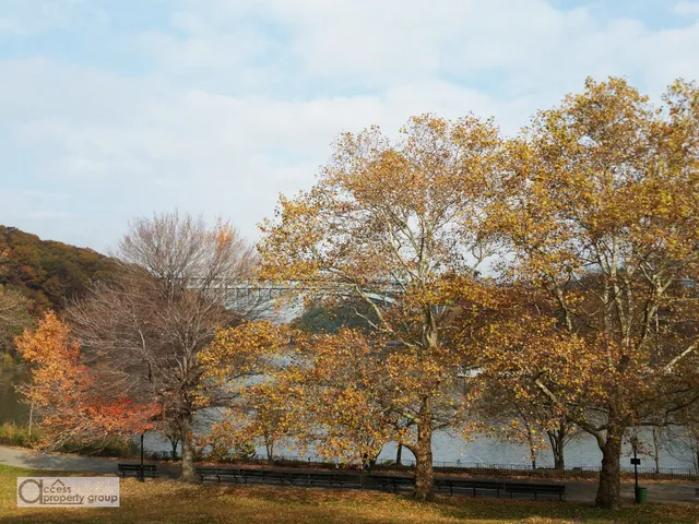 a view of a yard with mountain