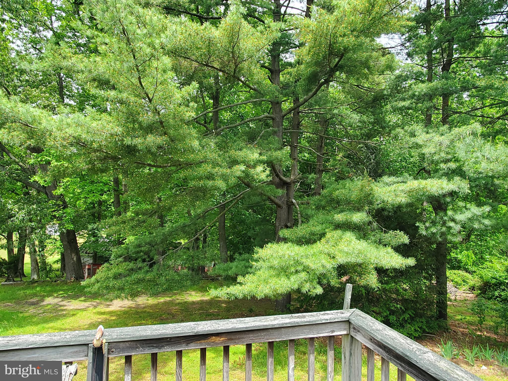 125 Stoakley Road Prince Frederick, MD 20678 - Photo 3 of 5 Gently rolling land