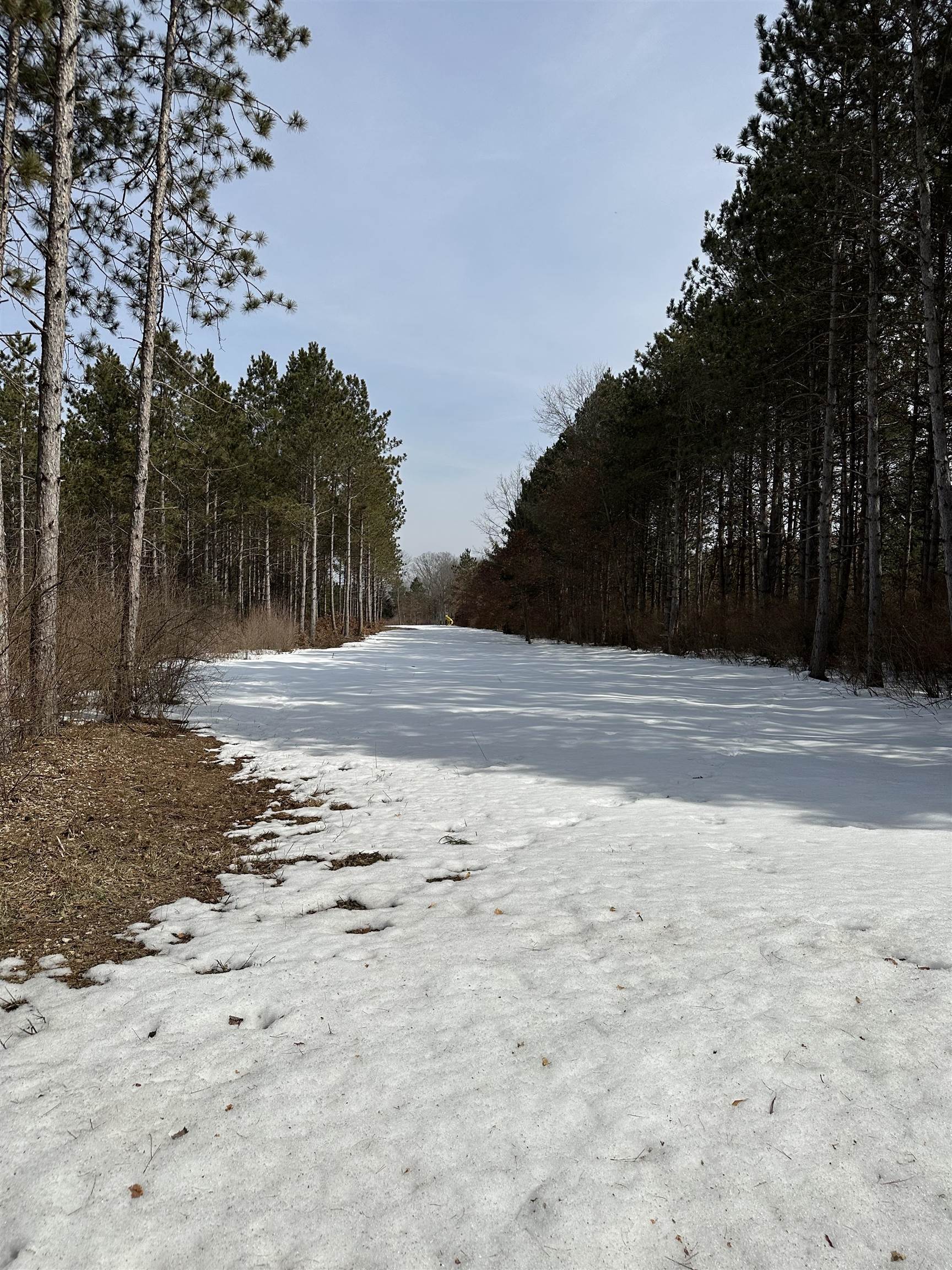 Tbd South Johnson Road Weidman, MI 48893 - Photo 8 of 9 Gallery Image 8
