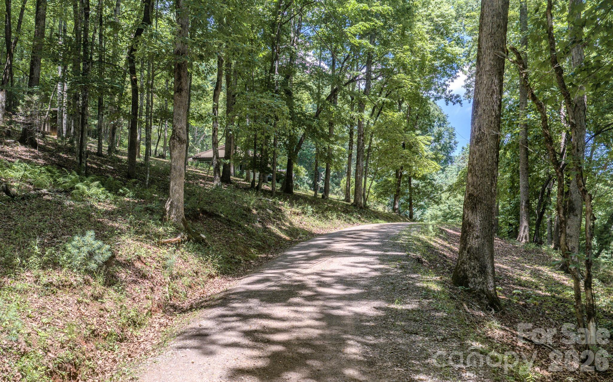 35 Coweeta Ridge Otto, NC 28763 - Photo 35 of 48