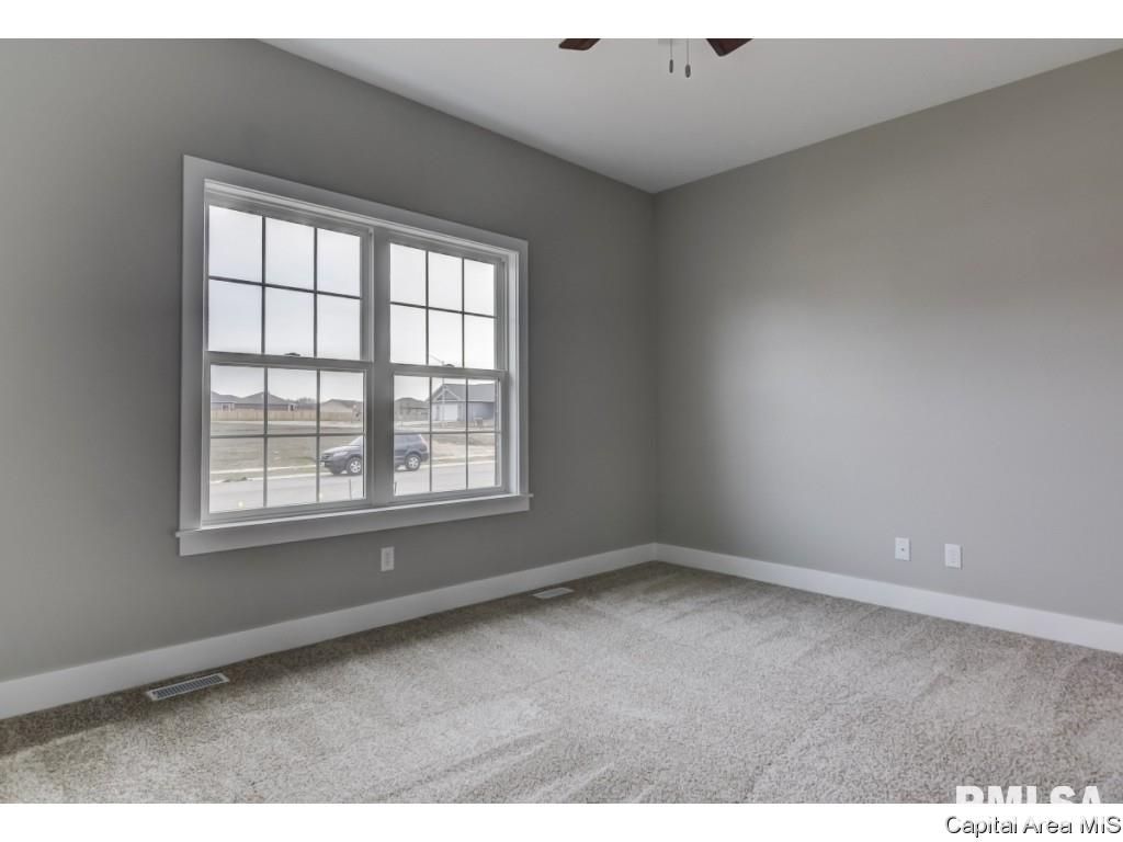 4651 Casey Drive Springfield, IL 62711 - Photo 20 of 27 Gallery Image 20
