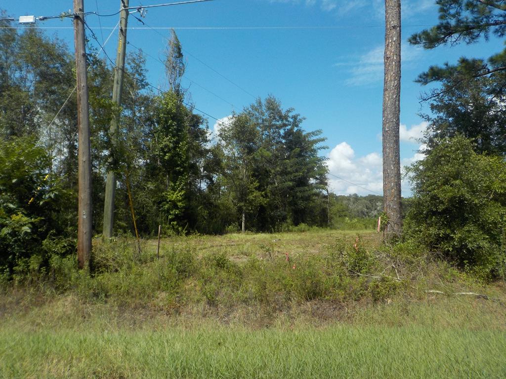 7.75 Hodgesville Road Dothan, AL 36301 - Photo 1 of 1