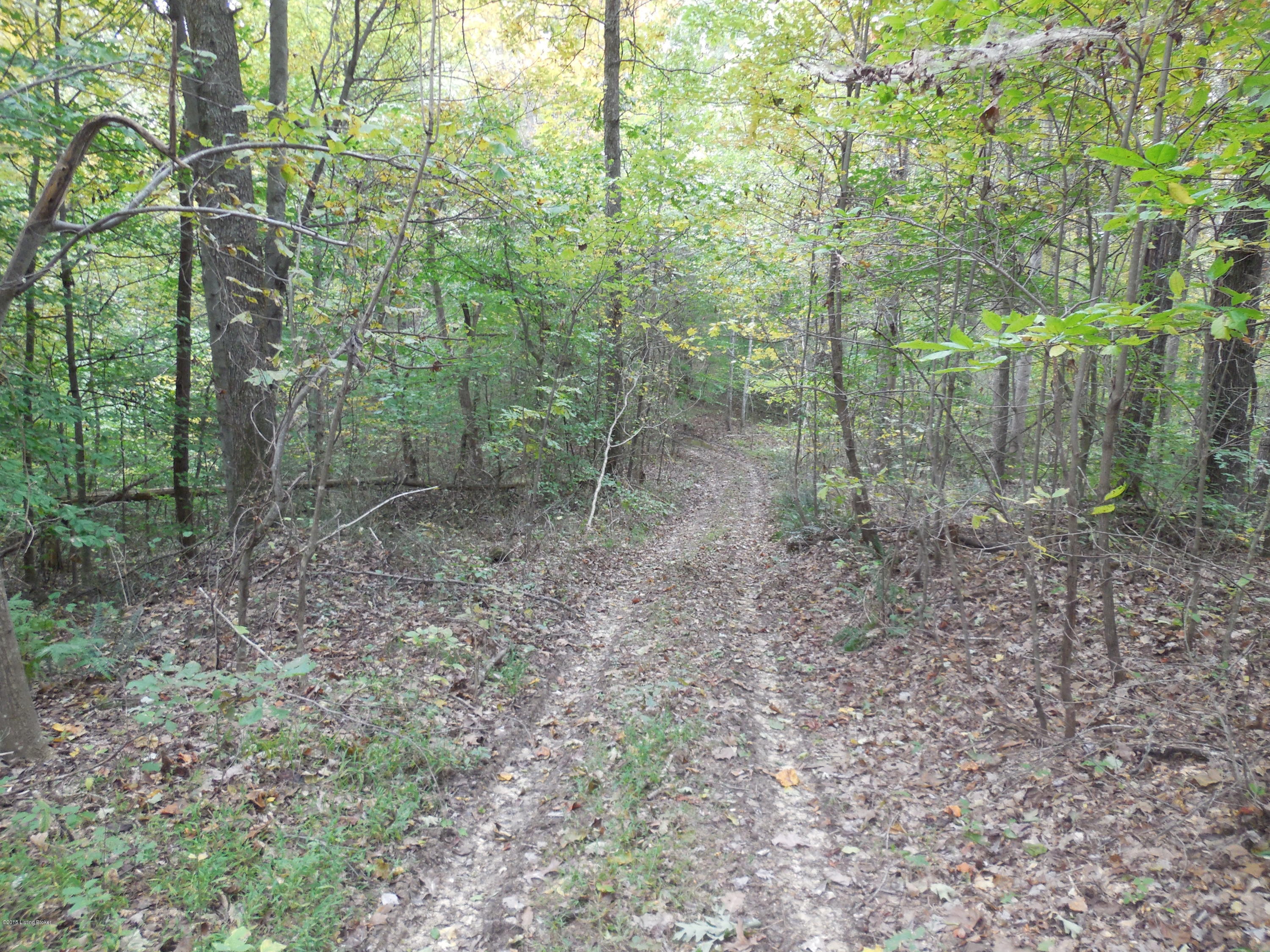 0 Corinth Road Buffalo, KY 42716 - Photo 1 of 30 1772