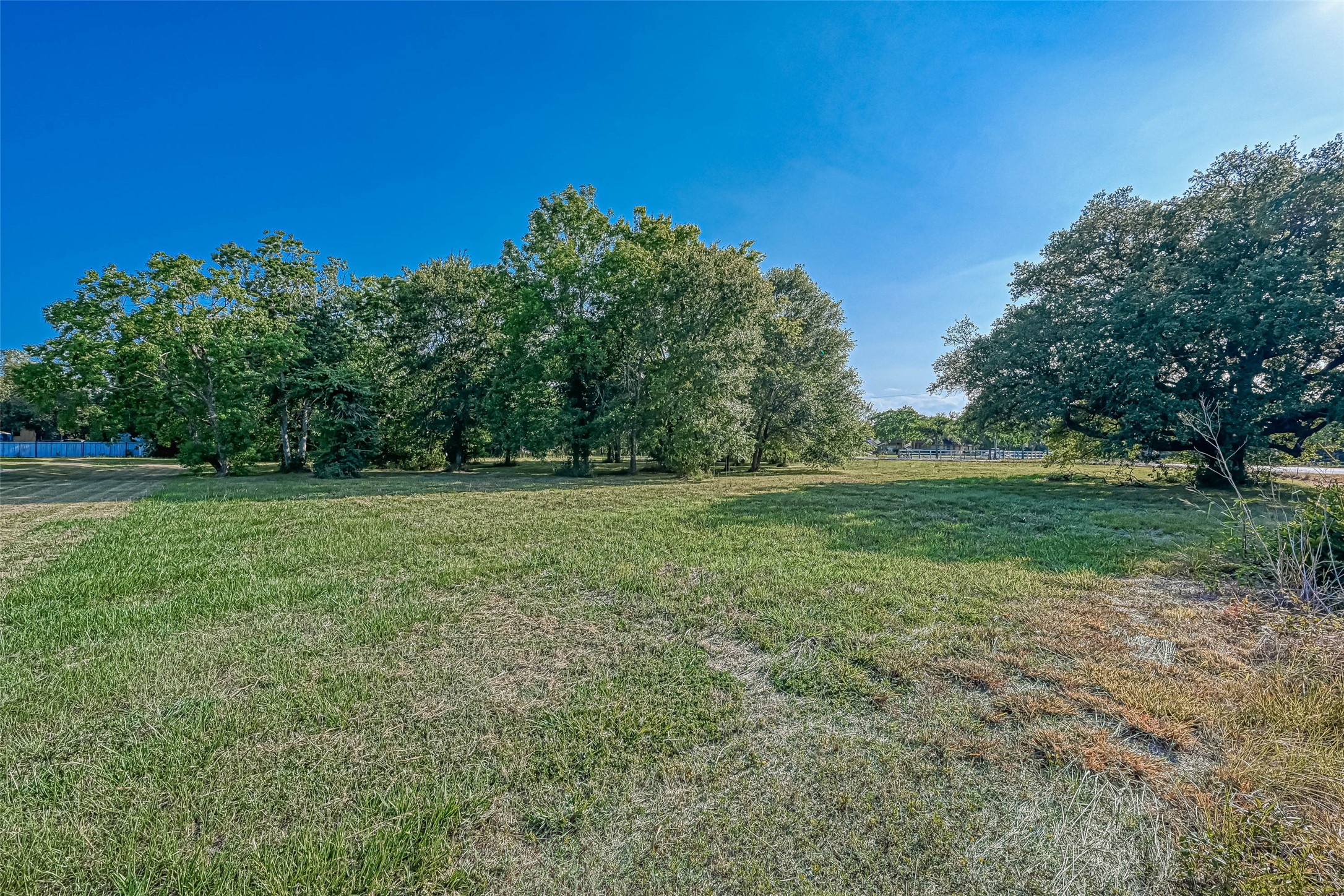 0 Fenn Road Rosharon, TX 77583 - Photo 3 of 6 a view of outdoor space with green field and trees all around