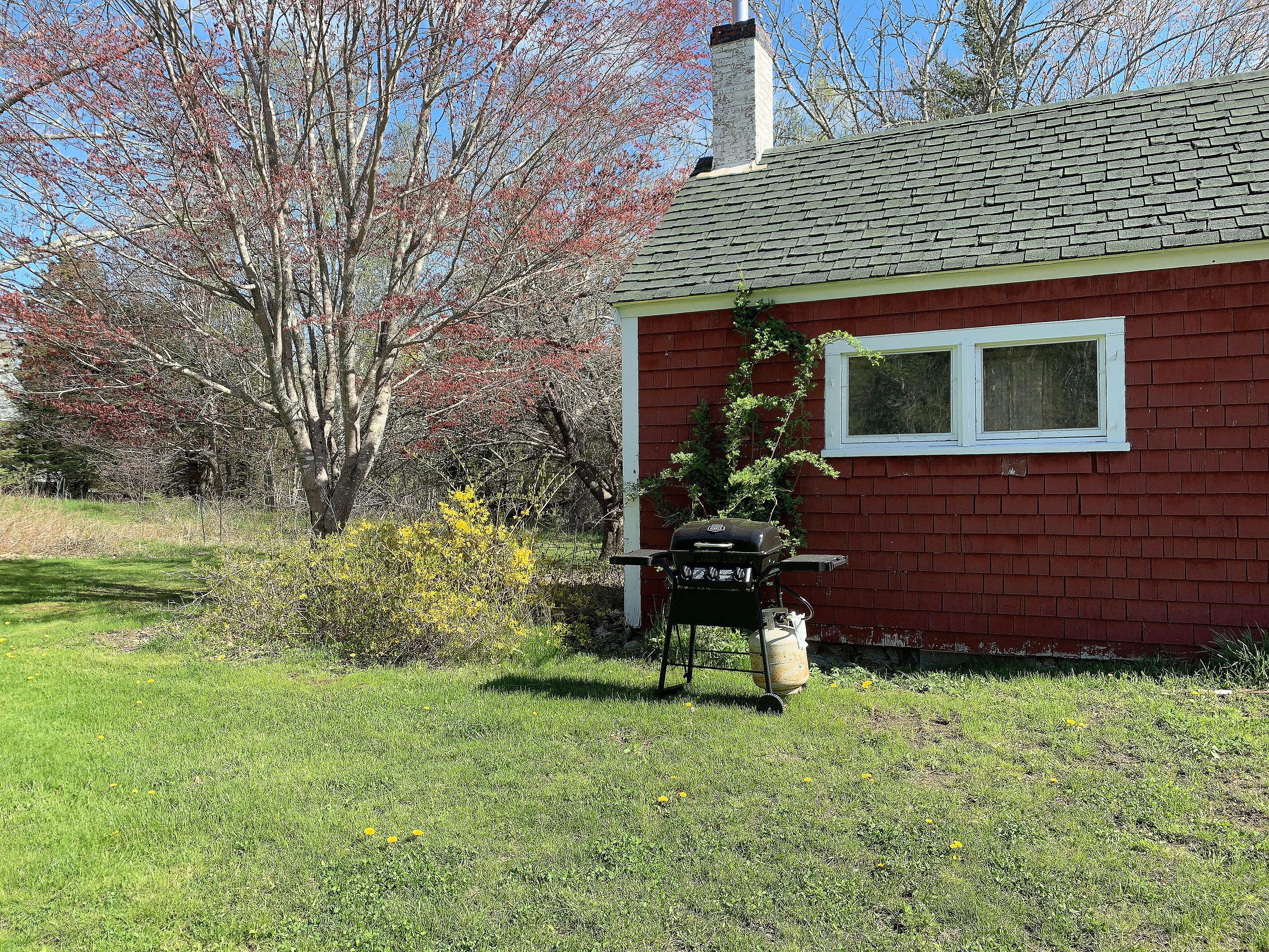 137 Reach Road Deer Isle, ME 04627 - Photo 44 of 48 137Reach2019_013