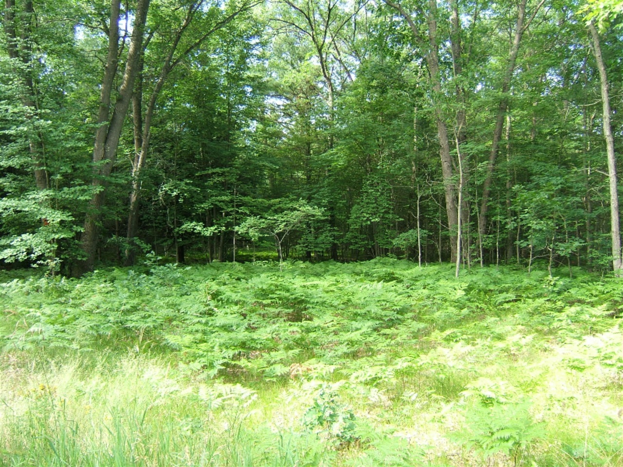 West Bard Road Whitehall, MI 49461 - Photo 2 of 8