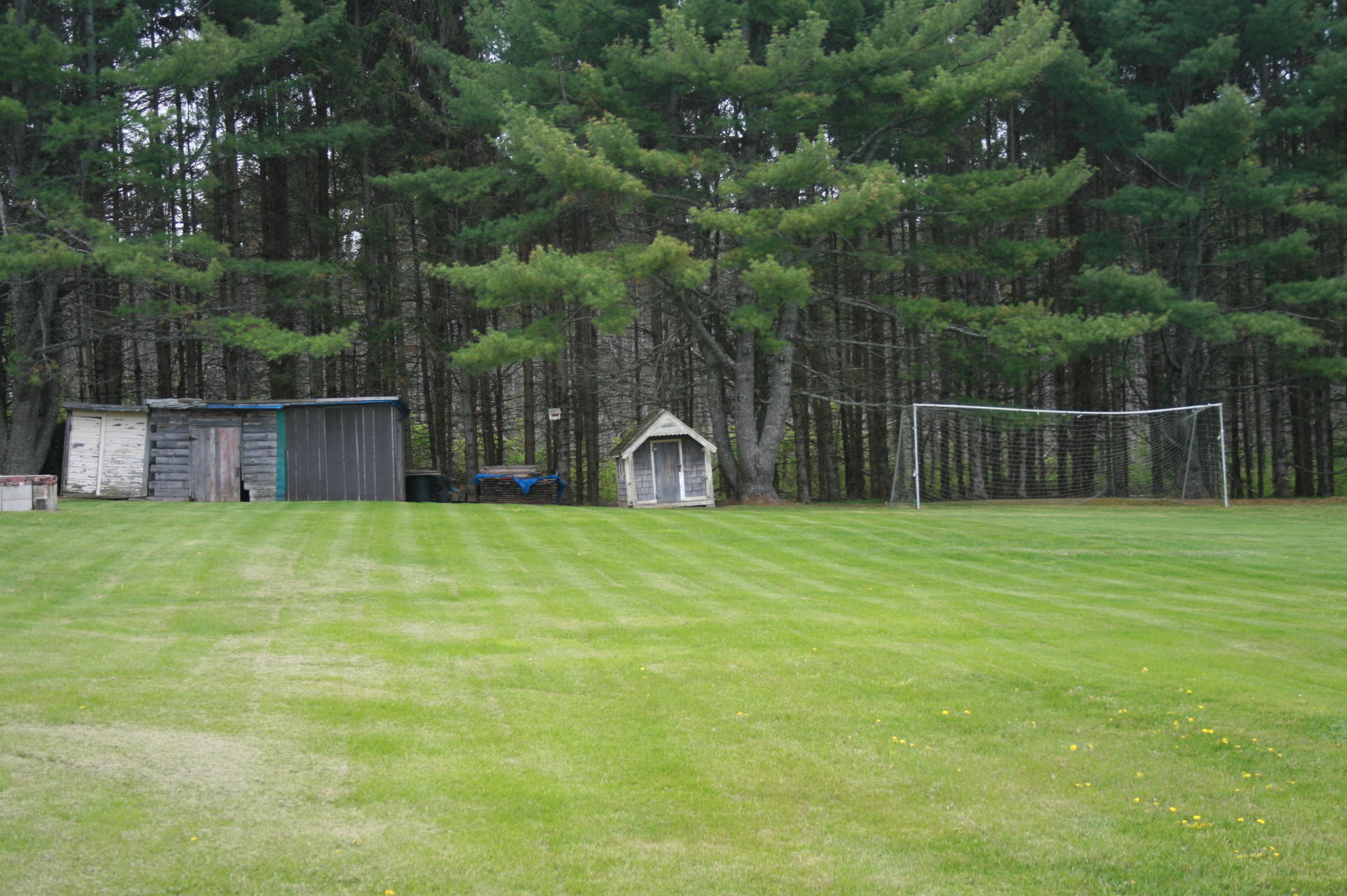 3170 Bennoch Road Alton, ME 04468 - Photo 30 of 32 IMG_9778