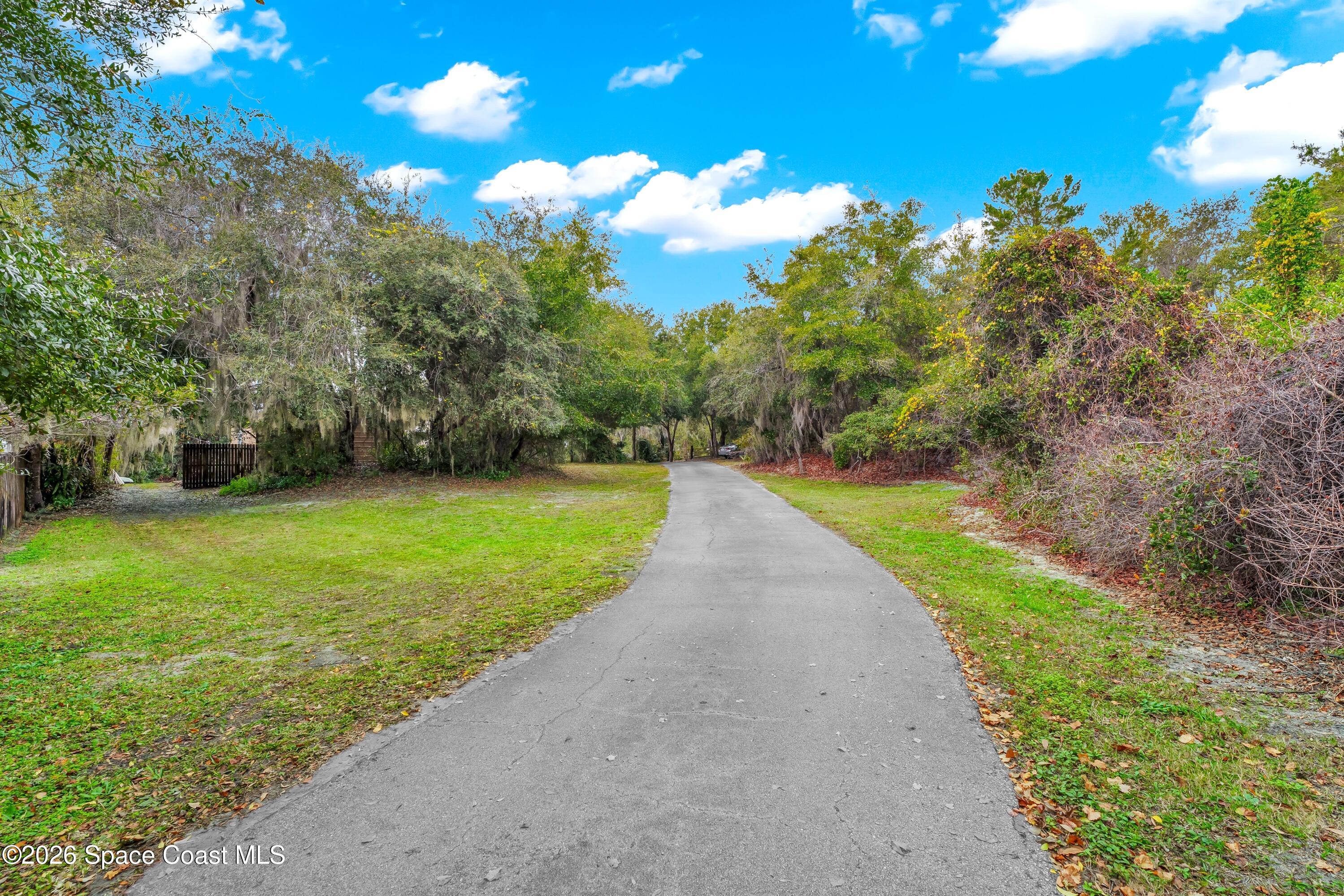 4150 Heller Road Titusville, FL 32796 - Photo 12 of 65 a view of a garden with an tree