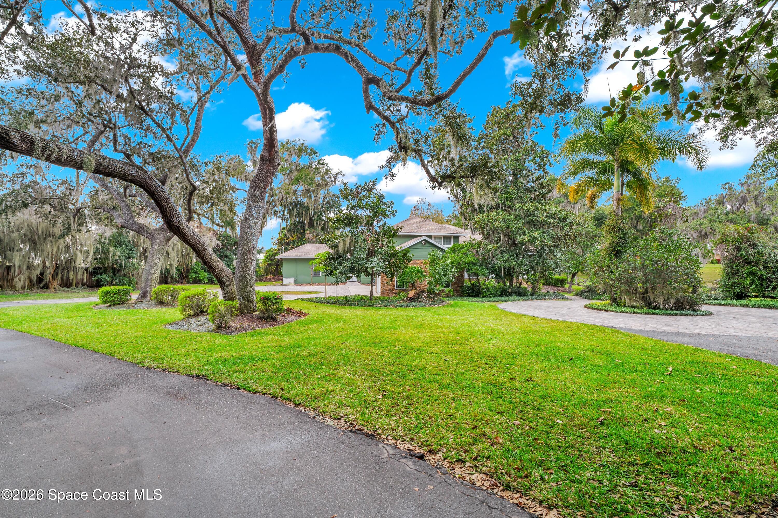 4150 Heller Road Titusville, FL 32796 - Photo 13 of 65 a view of a trees and yard