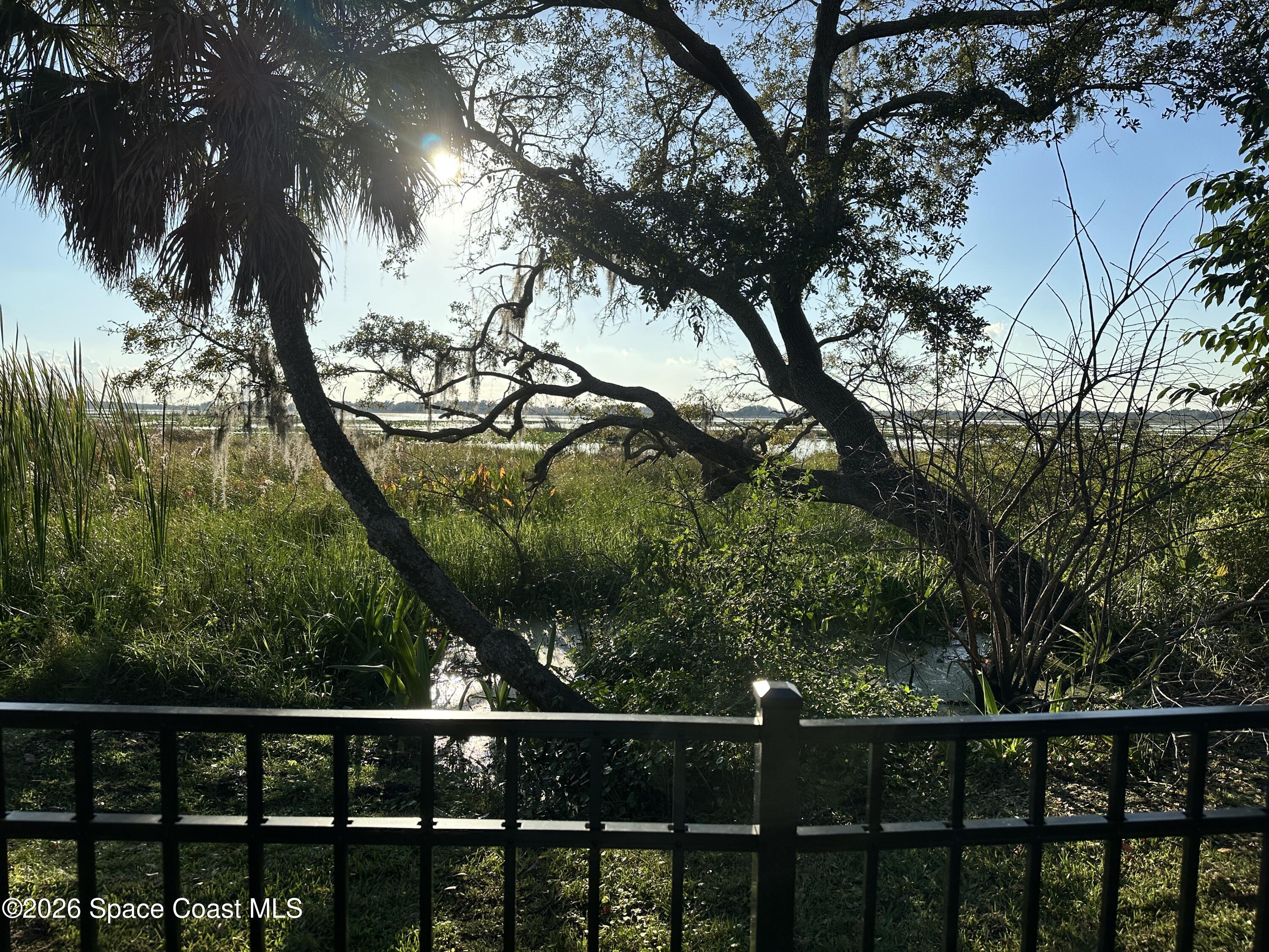 4150 Heller Road Titusville, FL 32796 - Photo 6 of 65 a view of a backyard