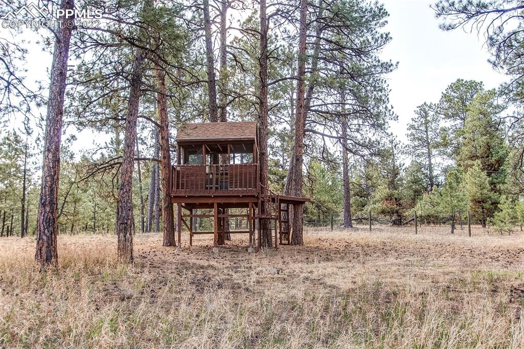 5030 Cedar Way Elizabeth, CO 80107 - Photo 20 of 33 a view of a wooden bench sitting in the forest